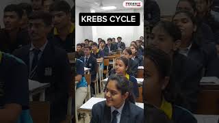 Song 🎶 to learn Krebs cycle 🤯🎯shorts biology music trending trick [upl. by Oizirbaf]