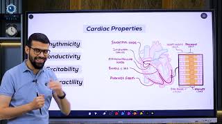 CVS 3 Rhythmicity Part 1 Mechanism [upl. by Imot]