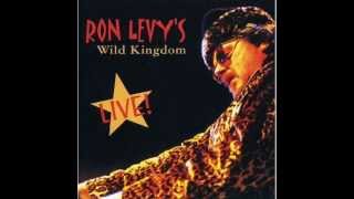 Ron Levy Sons of Abraham Live [upl. by Freyah]