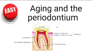 Aging and the periodontium [upl. by Ijat]