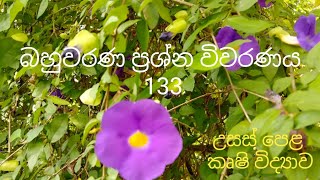 MCQ 133  Agricultural Science for Advance Level Examination Sinhala medium [upl. by Yole]