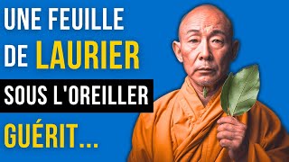 5 Effets Surprenants sur le Cerveau en Mettant du Laurier sous lOreiller  Histoire Zen de Santé [upl. by Andy]