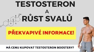 TESTOSTERON A BUDOVÁNÍ SVALŮ  Překvapivé zjištění [upl. by Enatan]