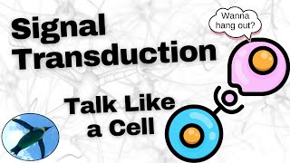 Basic Signal Transduction Ligands and Receptors [upl. by Nais]