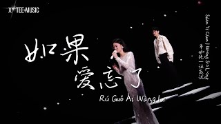 《如果爱忘了Rú Guǒ Ài Wàng Le》 单依纯 Shan Yi Chun amp 汪苏泷 Silence Wang 动态歌词拼音PinYin [upl. by Somerville]