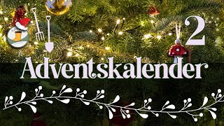 Adventskalender der Garten YouTuber 2023  Türchen 2  Fettkraut [upl. by Noside]