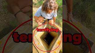 Animal Rescued From Sewer 😱 [upl. by Ryley]