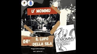 U Mommu  Joe Mannarino  Tarantella Minore cover  Live [upl. by Douglass]