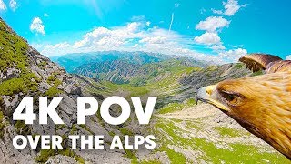 Breathtaking Eagle POV Flying Over The Alps in 4K [upl. by Enitsyrhc]