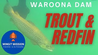 WAROONA DAM  TROUT FISHING  WESTERN AUSTRALIA [upl. by Ajin821]