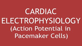 Cardiac Electrophysiology Action Potential in Pacemaker Cells ENGLISH  Dr Shikha Parmar [upl. by Spenser]