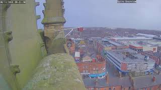 The Wakefield Peregrine Project  Live Spire Cam [upl. by Airbmat570]