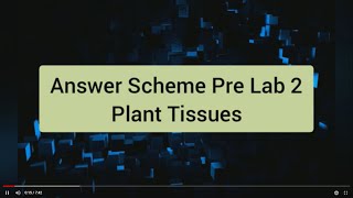 Answer Scheme Pre Lab 2 Plant Tissues [upl. by Ellingston]