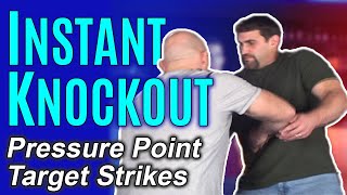 Instant Knockout Using Pressure Points Strikes  Self Defense Moves [upl. by Hedvah232]