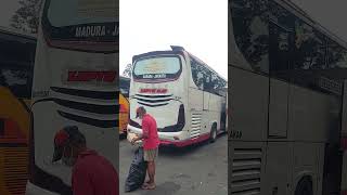 BUS TJIPTO GM MIRING SEBELAH busmania shorts [upl. by Irrehs]