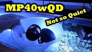 Ecotech Vortech MP40 MP40wQD Quiet Drive  Not so Quiet  DiY HOW TO Clean  Maintain [upl. by Suixela56]