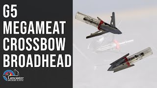 G5 Megameat Crossbow Broadhead [upl. by Youlton697]