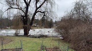 Ice flow in the Grand River [upl. by Jaymee]