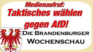 Medienaufruf Taktisch gegen AfD wählen Die Brandenburger Wochenschau Landtagswahl [upl. by Edholm157]