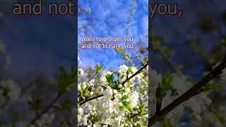 A Future Filled with Hope 🌟 bible motivation quotes faithandtrust mentalhealth love jesus [upl. by Enniroc]