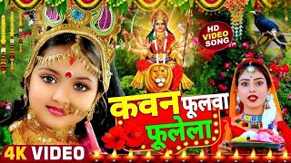 LIVE  न्यू भक्ति नानस्टॉप गाने  देवी गीत 2024  Bhakti Gana  Bhakti Song 2024  NonStop Devi Geet [upl. by Ardel]