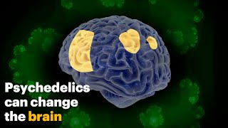 How Psychedelics Change the Brain [upl. by Inad]