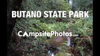 Butano State Park California Campsite Photos [upl. by Cyprus]