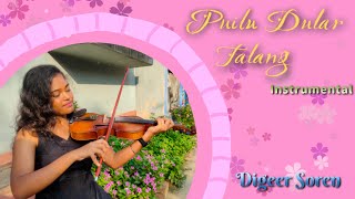 Puilu Dular Talang  Instrumental Version  Digeer Soren  Singrai Soren [upl. by Rolat]