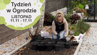 Listopad w ogrodzie Kalendarz ogrodnika na 0411  1011 Prace ogrodnicze w listopadzie [upl. by Oicelem]