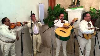 Mariachi Jalisco de PR  Amigo [upl. by Celinka]