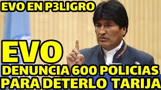 EVO MORALES REVELA PLAN PARA DETENERLO SI VA DECLARAR EN TARIJA LUCHO ARCE LE TIENE MI3DO [upl. by Wootan934]