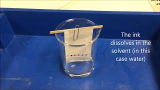 GCSE core Practical 1a Paper chromatography of inks [upl. by Yragerg]