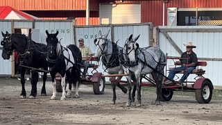 The farm draft horse show at the Whyoming County Fair in Pike NY [upl. by Hu]