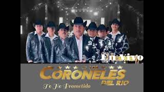 CORONELES DEL RIO En Vivo  Te He Prometido  Cover [upl. by Etnomed951]