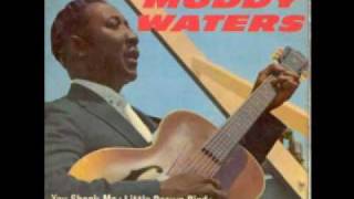 Muddy Waters  You need love  1963 [upl. by Sliwa]