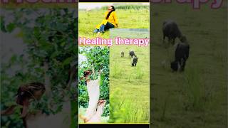 Healing therapy travel song bollywood shorts [upl. by Ferren]