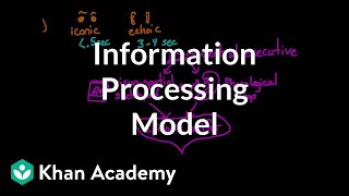 Information Processing Model [upl. by Yruok51]