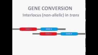 GENE CONVERSION [upl. by Asenej]