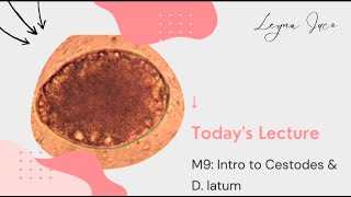 PARASITOLOGYM9 INTRO TO CESTODES amp Diphyllobothrium latum [upl. by Lisab]