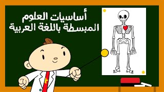 مجموعة أغاني عن أساسيات العلوم المبسطة للأطفال باللغة العربية 🧪 [upl. by Trever691]