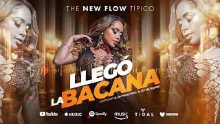 The New Flow Tipico  Llegó La Bacana 2025 [upl. by Khudari]