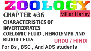 Characteristics of invertebrates Coelomic FluidHemolymphBlood cells  Chapter 36 Millar Harley [upl. by Josie]