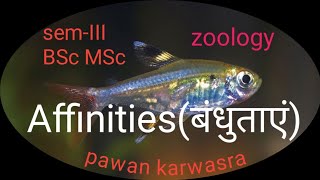 Affinities of hemichordata amp echinodermata cephalochordata and chordata । BSc I MSc । [upl. by Kendrick]