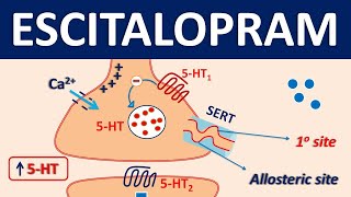 Escitalopram Lexapro  Mechanism precautions side effects amp uses [upl. by Eisteb]