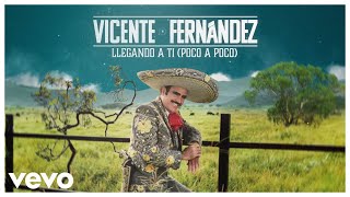 Vicente Fernández  Llegando a Ti Video Lyrics [upl. by Ycrep]