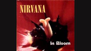 Nirvana Instrumental In Bloom  Daves Vocals [upl. by Soneson583]