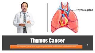 Thymus Cancer  Causes Diagnosis Symptoms Treatment Prognosis [upl. by Farro169]