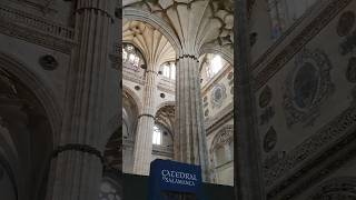 WALK in SALAMANCA❤️ with 𝕎𝕀ℕCHAN  𝑪atedral spain 4k catedral church travel salamanca [upl. by Eiramnna]