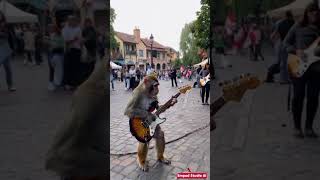 Viral Monyet Main Gitar di Alun Alun Rusia empudstudioai shorts [upl. by Sloane119]