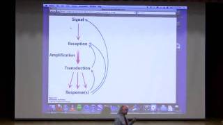 Kevin Aherns BiteSized Biochemistry 18 Signaling [upl. by Pesvoh]